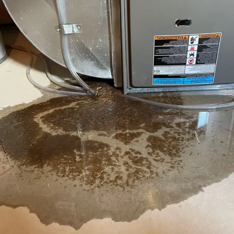 Pipe Burst and Leak Restoration in Nye County, NV