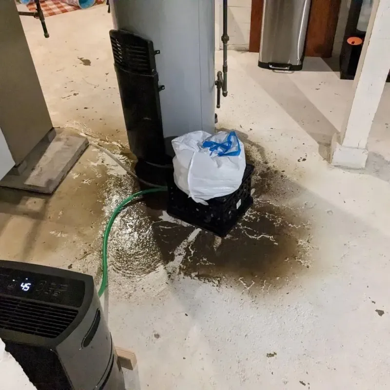 Sewage Backup Cleanup Service in Nye County, NV